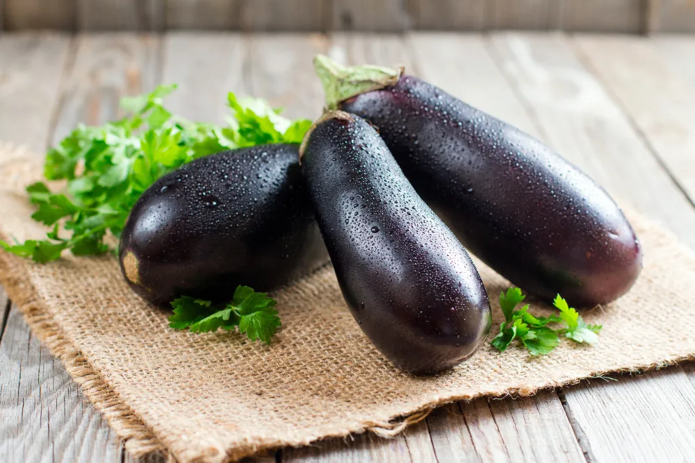 eggplant_image